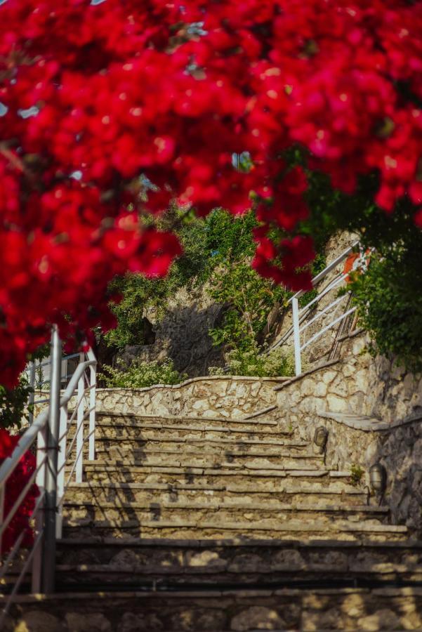 니키아나 Sea Mansion Lefkada 아파트 외부 사진
